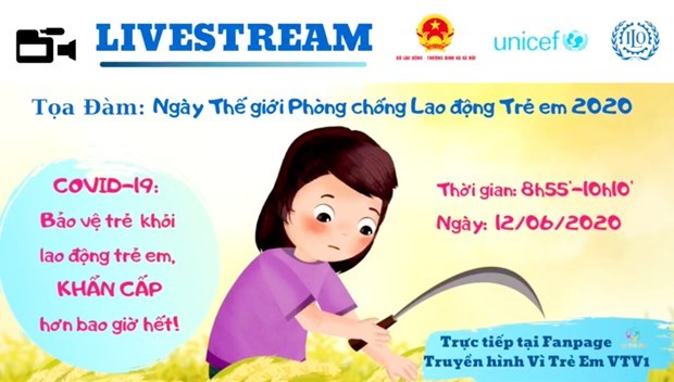 Vietnam takes actions to deal with increasing risk of child labour due to COVID-19 hinh anh 2