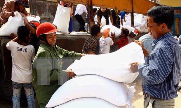 Relief rice allocated to drought-affected Binh Dinh province hinh anh 1