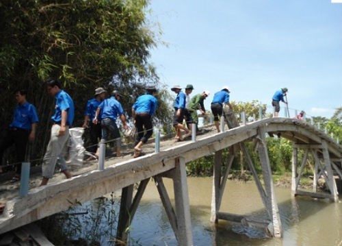 Bridge built to reach flood-isolated Dong Nai hinh anh 1