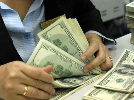 SBV assurance calms foreign exchange fears hinh anh 1