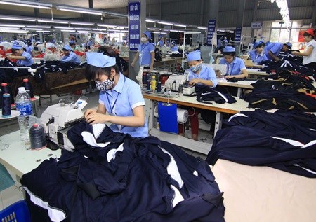Garment firms await TPP opportunities hinh anh 1