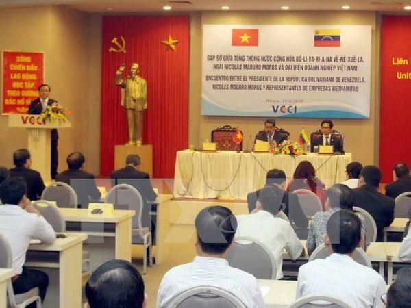Vietnam, Venezuela look towards energy alliance hinh anh 1