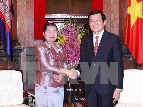 President: Vietnam value ties with neighbours hinh anh 1