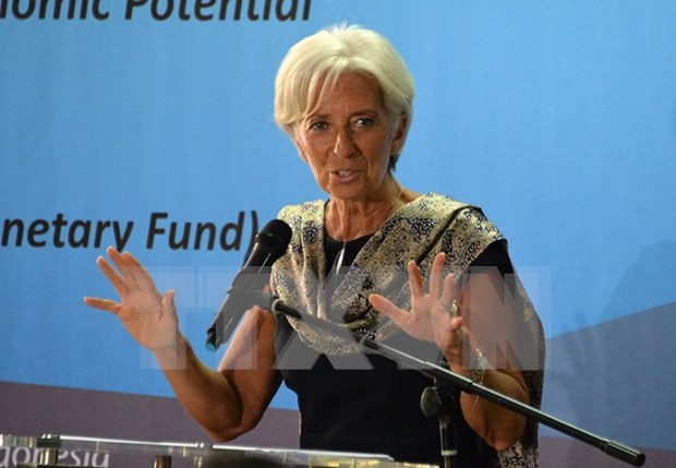 IMF believes Indonesia able to weather economic storm hinh anh 1