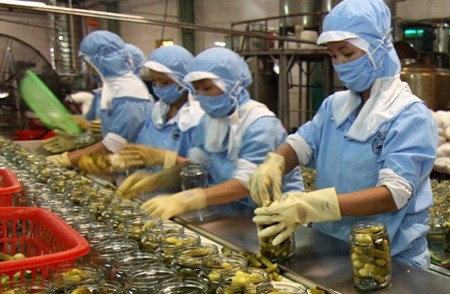 Vietnam’s GDP likely to gain most from TPP, AEC hinh anh 1