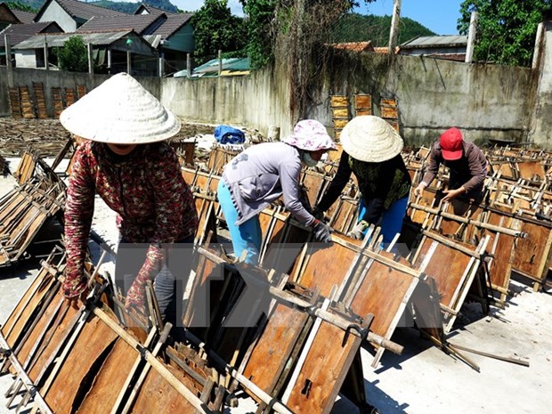 Lao Cai enlarges cinnamon cultivation acreage hinh anh 1