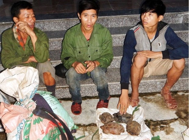 Large-number wild animal traps seized in Quang Binh hinh anh 1