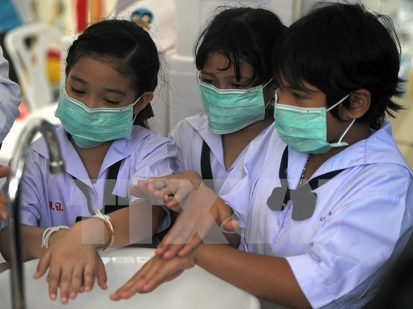 Vietnam responds to Global Hand-Washing Day hinh anh 1