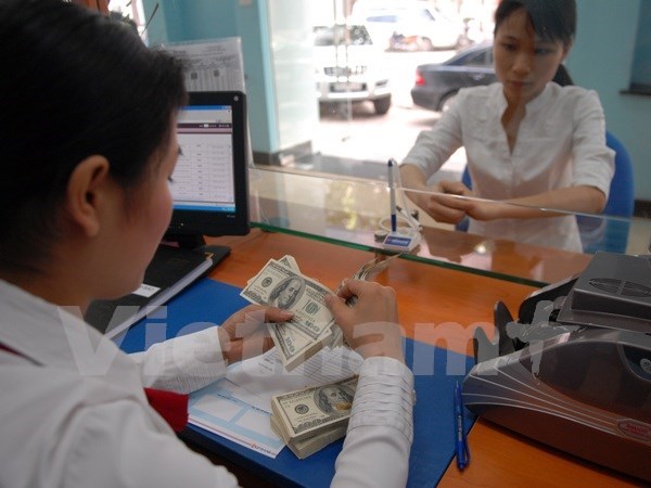 Remittances won't be reduced: experts hinh anh 1