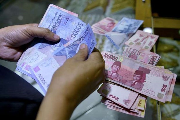 Indonesia announces new economic packet to revive growth hinh anh 1