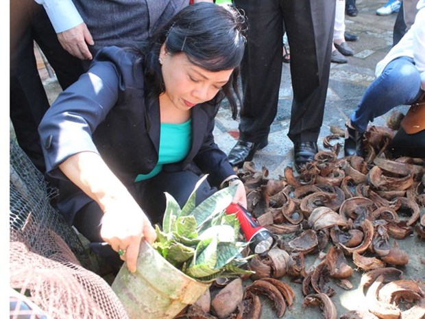 Mosquito larva killing campaign launched hinh anh 1