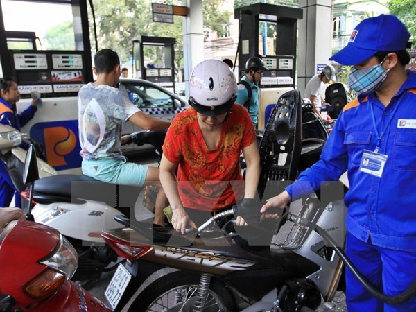 Ministry announces petrol price cut hinh anh 1