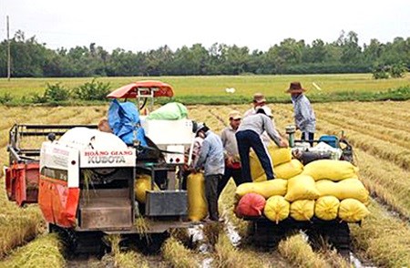 Vietnam agriculture to benefit from free trade hinh anh 1