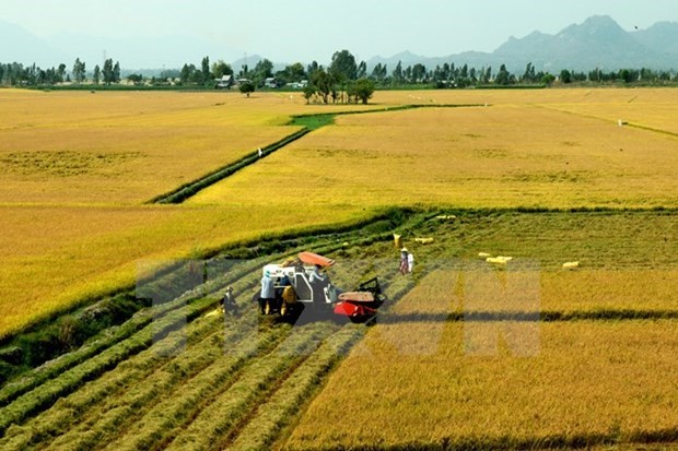 Japanese corporation to introduce farming machinery to Can Tho hinh anh 1