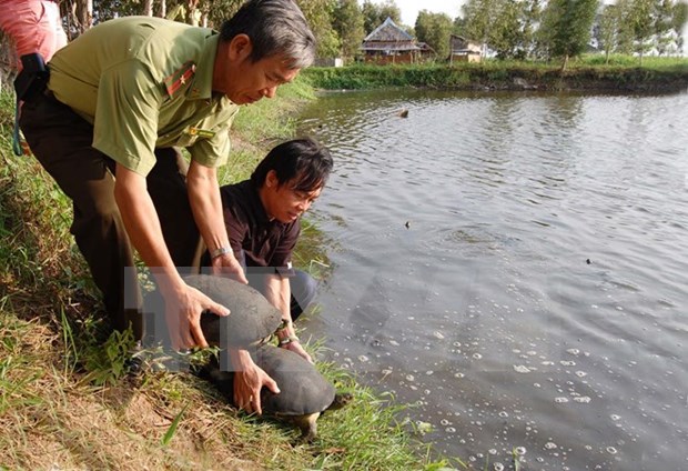 Denmark helps Vietnam promote bio-diversity conservation hinh anh 1
