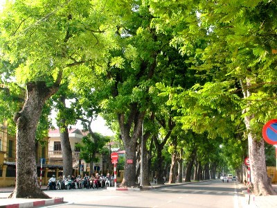 Hanoi works towards green city hinh anh 1