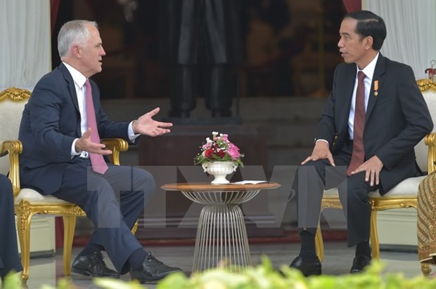 Indonesia, Australia restore trade, investment relations hinh anh 1