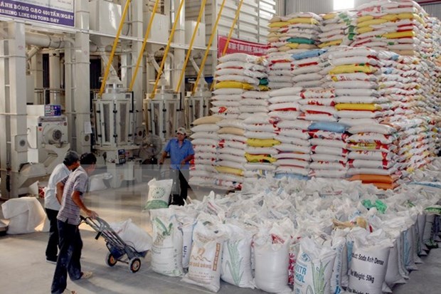 Rice export deals hit record level in October hinh anh 1