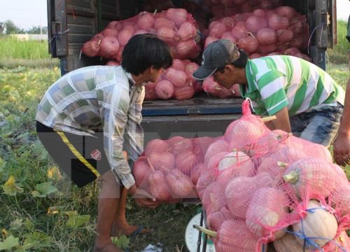 Mekong Delta localities calls for investment hinh anh 1