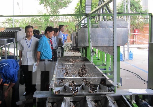 International cashew processing exhibition opens in Long An hinh anh 1