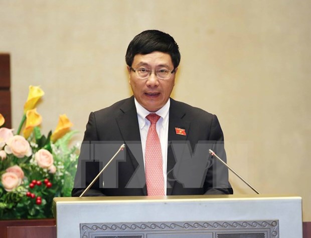 Parliament’s committee reviews outcomes of diplomatic efforts hinh anh 1