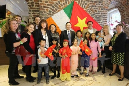 Project to prepare database on adopted Vietnamese children hinh anh 1