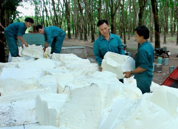 Rubber sector urged to enhance added value hinh anh 1