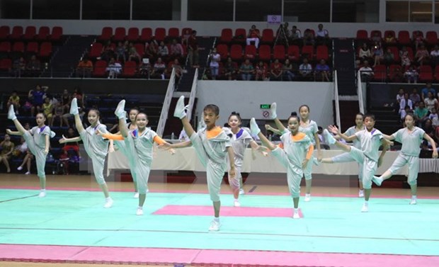 HCM City to host Aerobic Gymnastics Asian Championships hinh anh 1