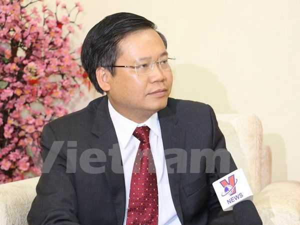 Vietnam-Indonesia ties contributes to regional prosperity: Diplomat hinh anh 1