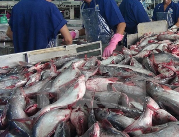 US Senators move to nullify new catfish inspection rules hinh anh 1