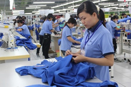 Binh Duong lures over 3 bln USD in FDI hinh anh 1