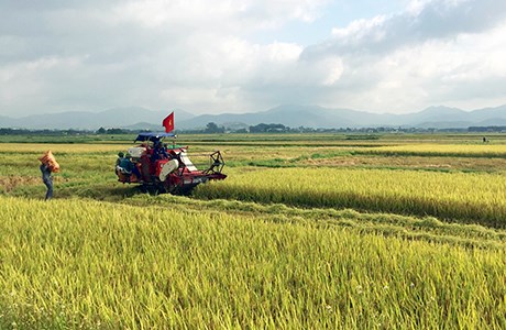 Quang Ninh: two thirds of communes recognised as new rural areas hinh anh 1