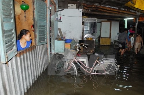 HCM City spends 444 million USD for flooding control hinh anh 1