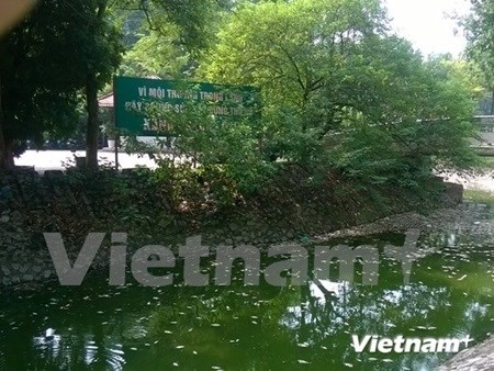 Hanoi to restore city's depleted, polluted rivers hinh anh 1