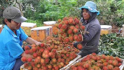 Ho Chi Minh City boosts trade links hinh anh 1
