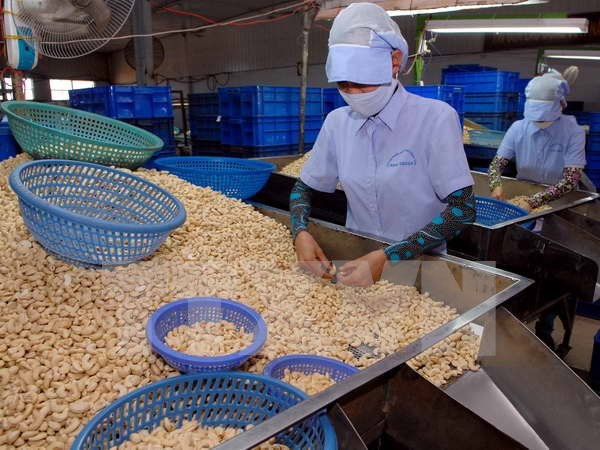 Export sees lowest increase in five years hinh anh 1