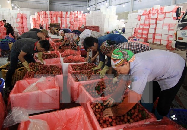Vietnam pilots self-certification of goods within ASEAN hinh anh 1