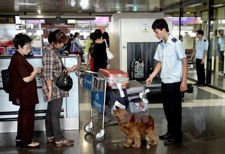 Noi Bai Airport strengthens customs checks before Tet hinh anh 1