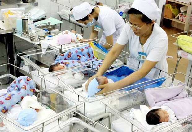Vietnam records stable population in 2015 hinh anh 1