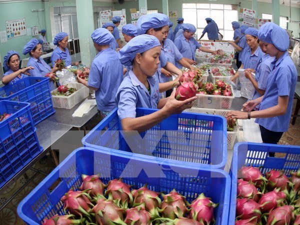 Mekong Delta positive about fruit export hinh anh 1