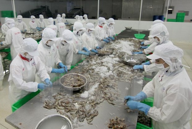 Shrimp export to US expected to thrive hinh anh 1