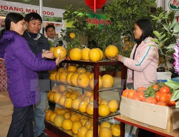 Spring Fair to offer consumer goods for Tet hinh anh 1