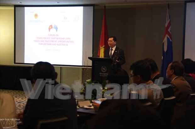 Vietnam, Australia seek trade opportunities in TPP hinh anh 1