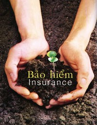Vietnam’s insurance industry looks to further expansion hinh anh 1