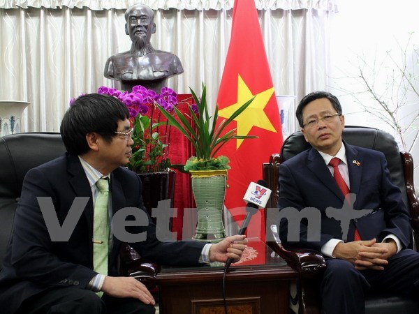2015 sees breakthrough in Vietnam-RoK ties: Ambassador hinh anh 1