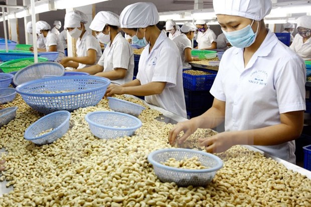 Binh Phuoc, Ivory Coast cooperate in cashew sector hinh anh 1