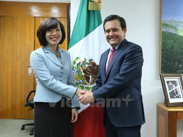 Vietnam, Mexico fuel economic cooperation hinh anh 1