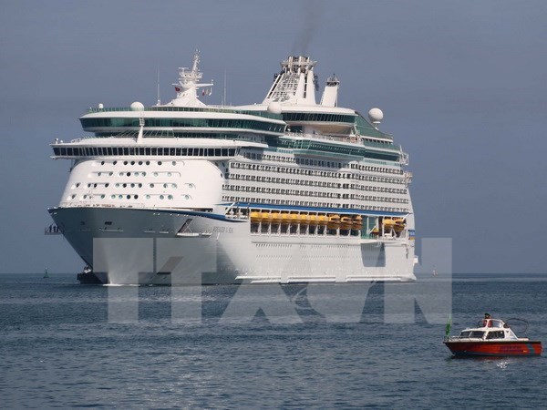 Chan May Port welcomes foreign cruise ships hinh anh 1