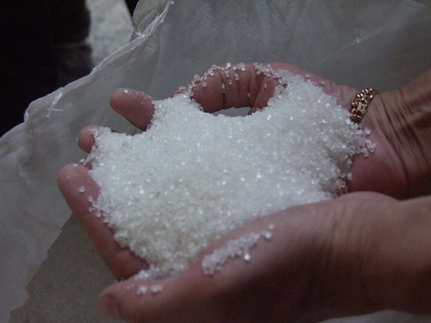 Brazil accuses Thailand over sugar subsidies hinh anh 1