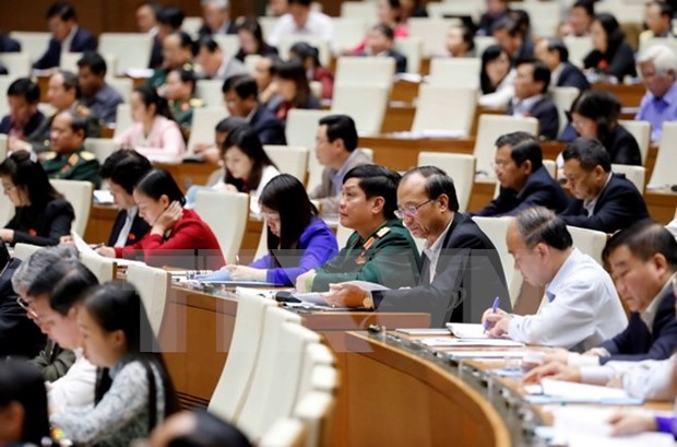 Draft working reports demonstrate candid, responsible spirit: voters hinh anh 1